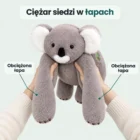 Dwie dłonie dorosłego unoszą szarą koalę pod pachami, tułów i długie łapy zwisają ciężko w dół, przy łapach dwie etykiety