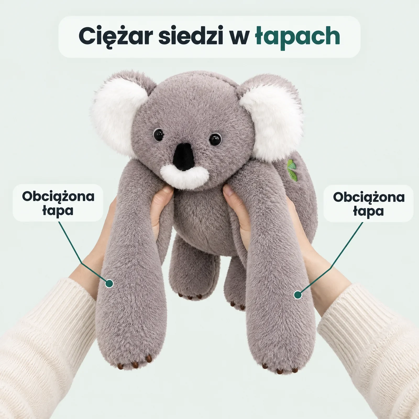 Dwie dłonie dorosłego unoszą szarą koalę pod pachami, tułów i długie łapy zwisają ciężko w dół, przy łapach dwie etykiety